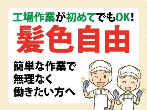 株式会社マイセルフの派遣求人情報