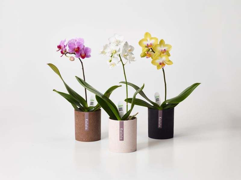 株式会社リーフのアルバイト・バイト求人情報-02