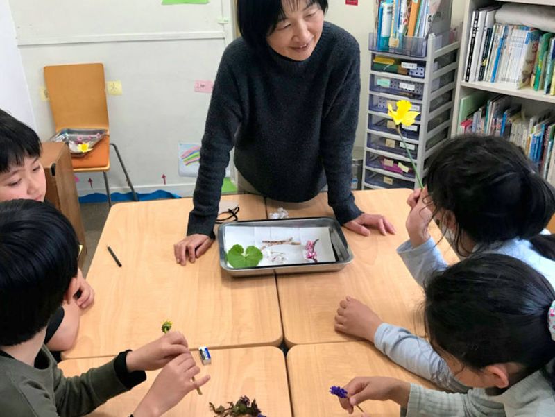 一般社団法人みかん箱の求人・転職情報