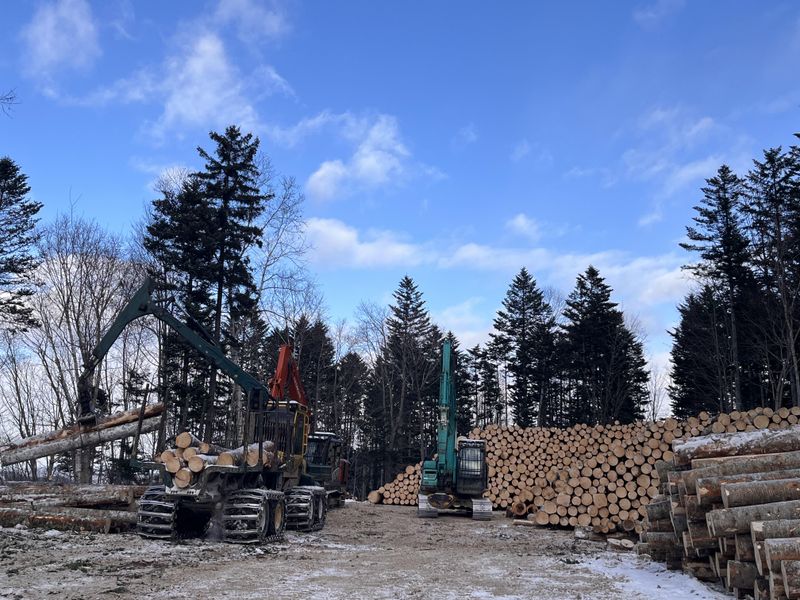 佐藤林業株式会社の求人・転職情報