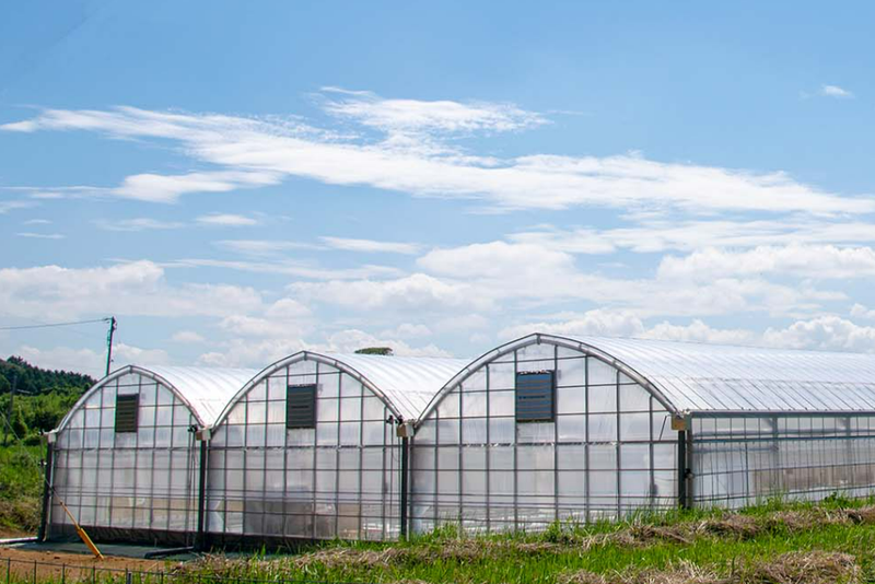 モロフジファーム株式会社の求人・転職情報