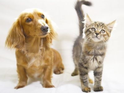 株式会社からだ想いのアルバイト・バイト求人情報-02