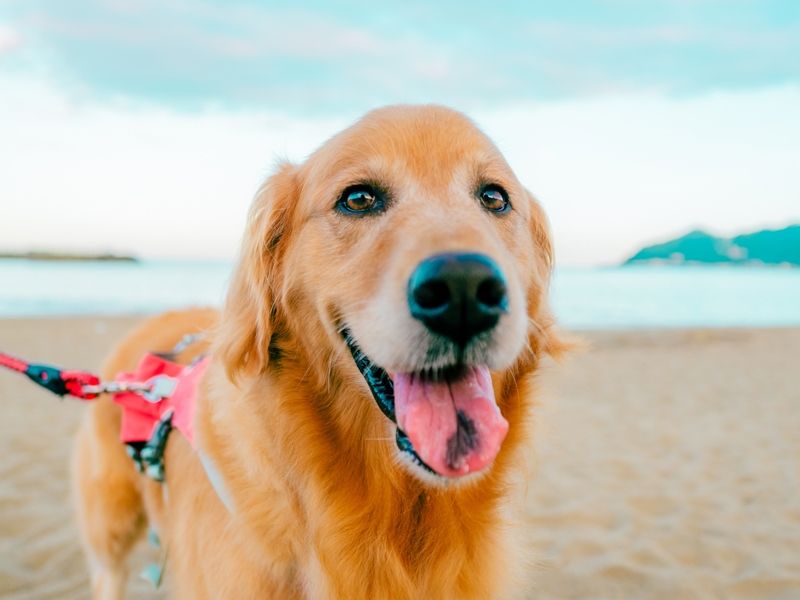 合同会社Route3のアルバイト・バイト求人情報-01