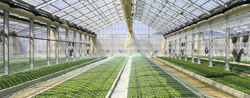 しごと計画学校の求人・転職情報