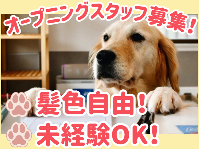 株式会社Sunny　ANELLA CAFEの求人・転職情報