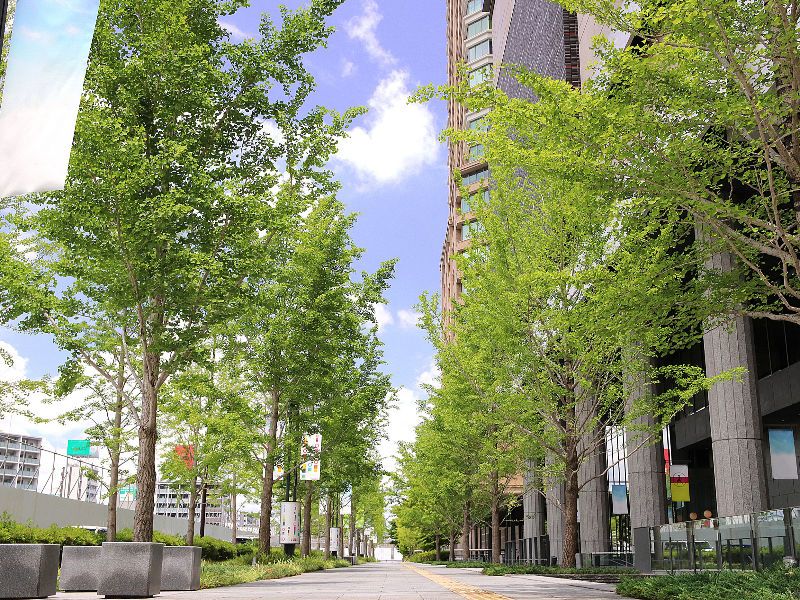 株式会社中央保健工業社のアルバイト・バイト求人情報-02