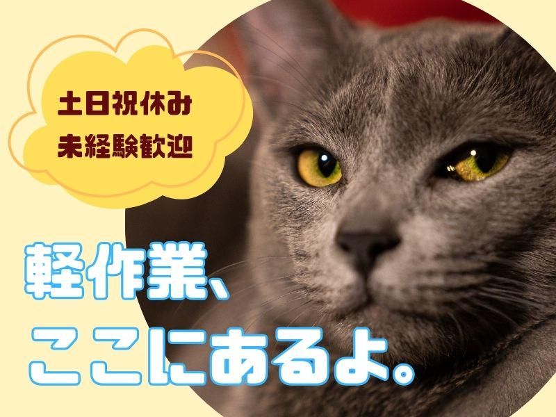 株式会社ジョブフィールの求人・転職情報