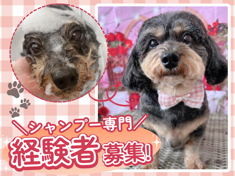 ペットサロンしっぽふるのアルバイト・バイト求人情報-02