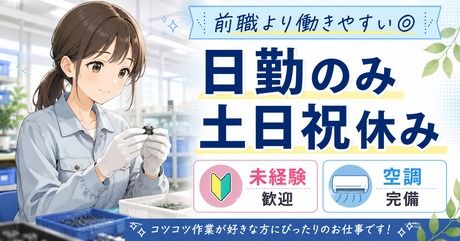 株式会社ヒューマンアイズの求人・転職情報