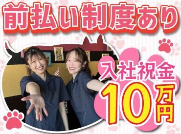 株式会社アイックス-0033の求人・転職情報