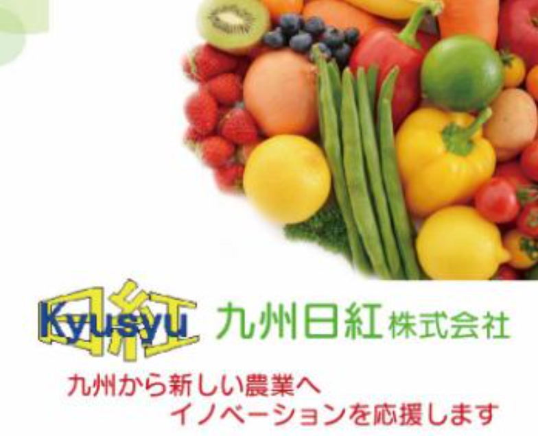 九州日紅株式会社の求人・転職情報
