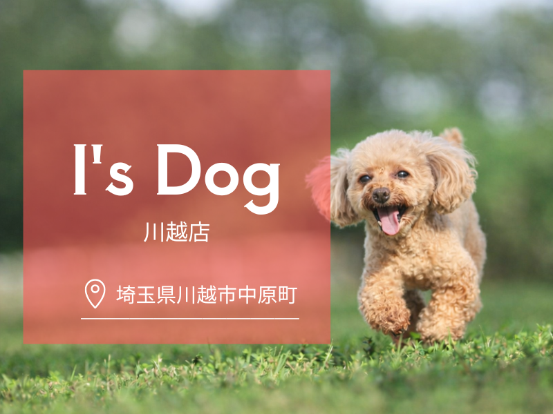 合同会社Ｉ　Ｗａｎの求人・転職情報