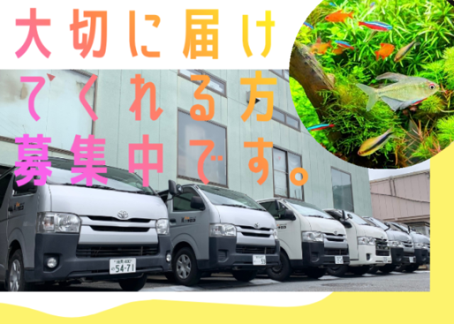 株式会社クロコの求人・転職情報