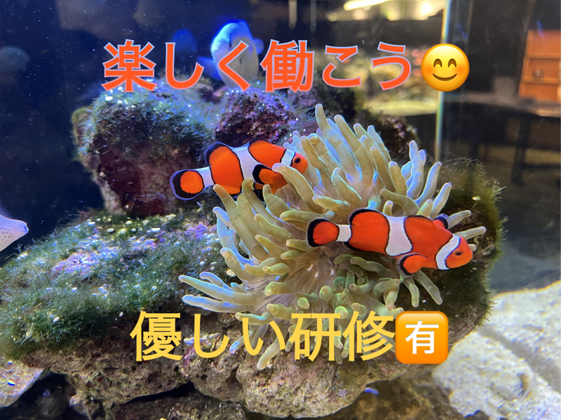 NSMART株式会社(バスセンター前駅)のアルバイト・バイト求人情報-12