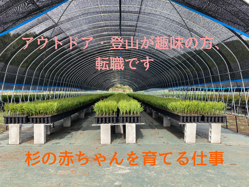 協栄木材株式会社の求人・転職情報