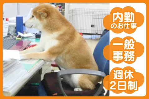 有限会社シップ(ja_jp)の求人・転職情報