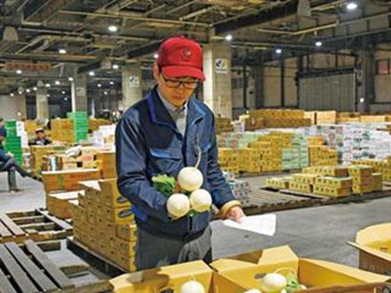 札幌みらい中央青果株式会社