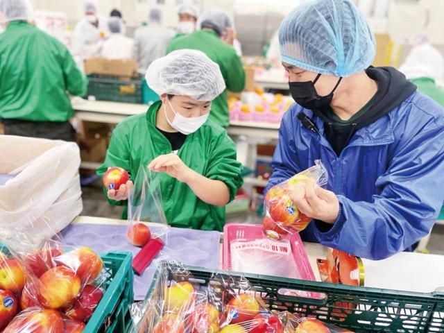 NPO法人みちしるべ神戸-0001の求人・転職情報