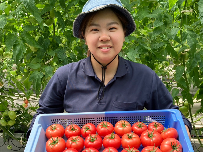 株式会社アルプスアグリキャリア