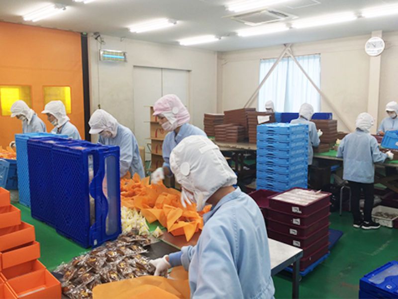 株式会社　福星堂の求人・転職情報