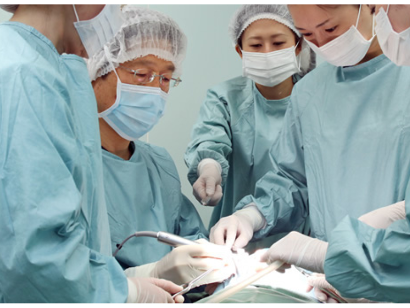 日本オーラルクリニックのアルバイト・バイト求人情報-05