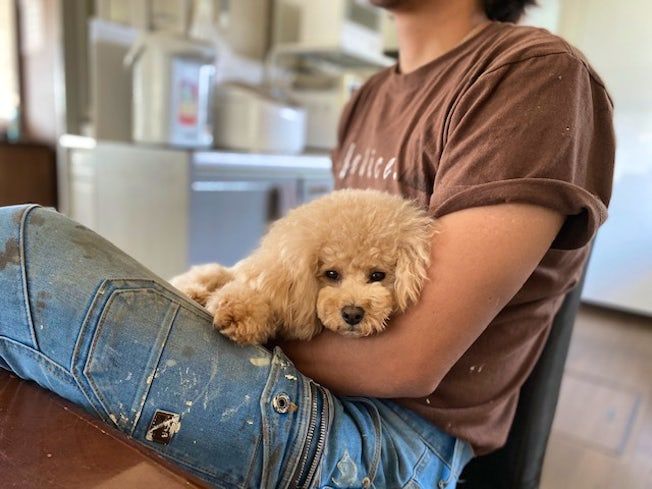 丸塗工業株式会社の求人・転職情報