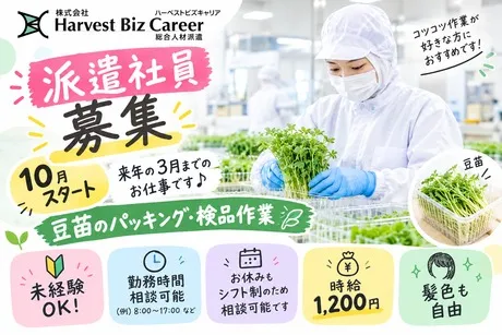 株式会社Harvest Biz Careerのアルバイト・バイト求人情報