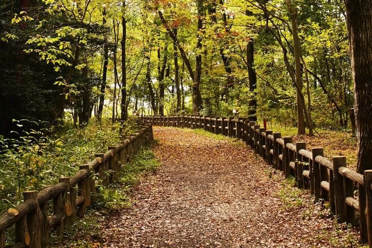 西武造園株式会社の求人・転職情報