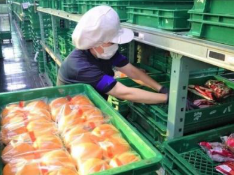 株式会社ウエダの求人・転職情報
