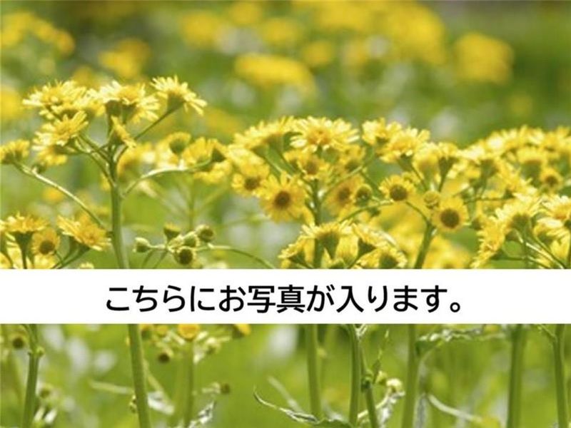 株式会社平尾運送の求人・転職情報