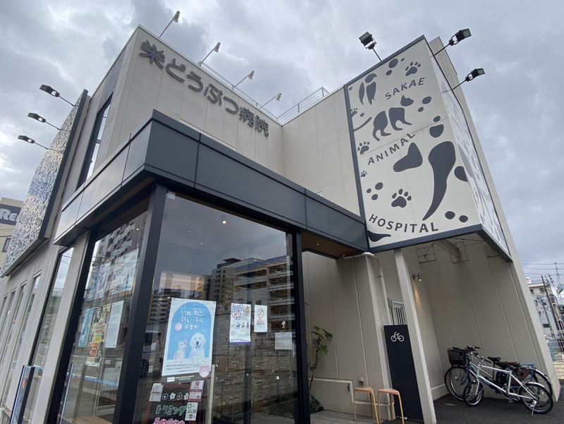 株式会社ファニメディック-0007の求人・転職情報