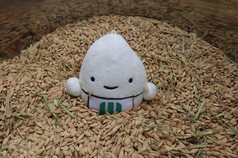 株式会社ミツハシ