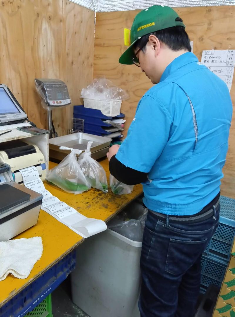求人画像