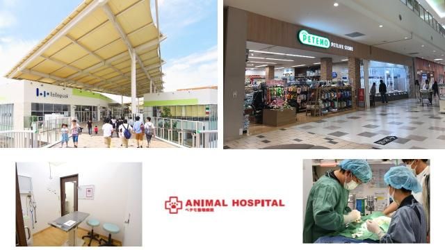 ペテモ動物病院　ららぽーと新三郷のアルバイト・バイト求人情報-22