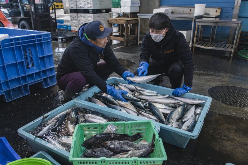 札幌市中央卸売市場のアルバイト・バイト求人情報-02