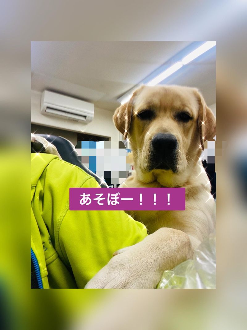 有限会社三輝電気のアルバイト・バイト求人情報-02