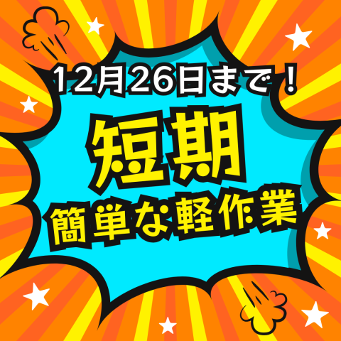 イズタニワークフォースソリューションズのアルバイト・バイト求人情報-27