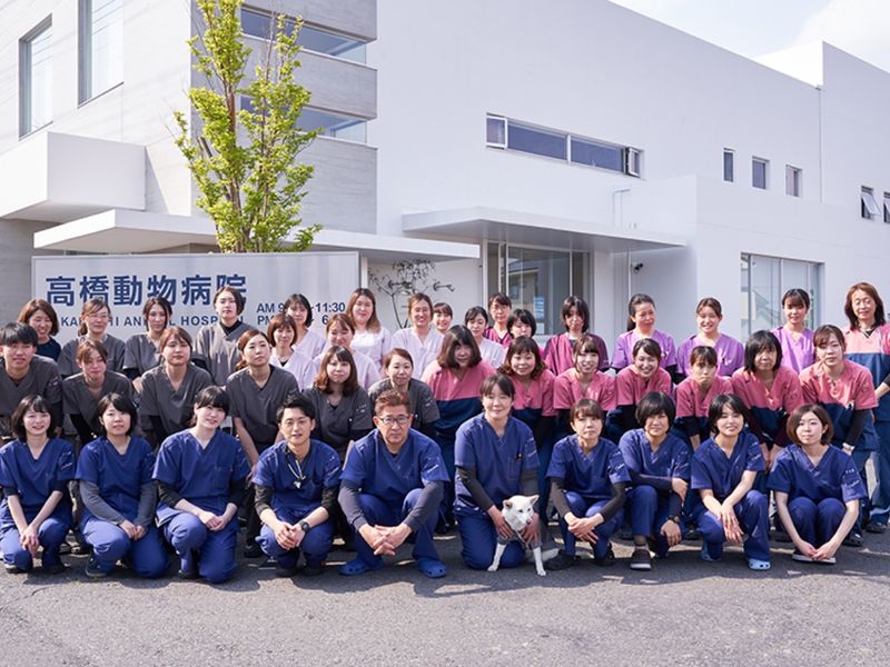 VCA Japan合同会社の求人・転職情報