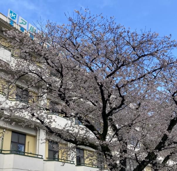 株式会社アルファケアの求人・転職情報