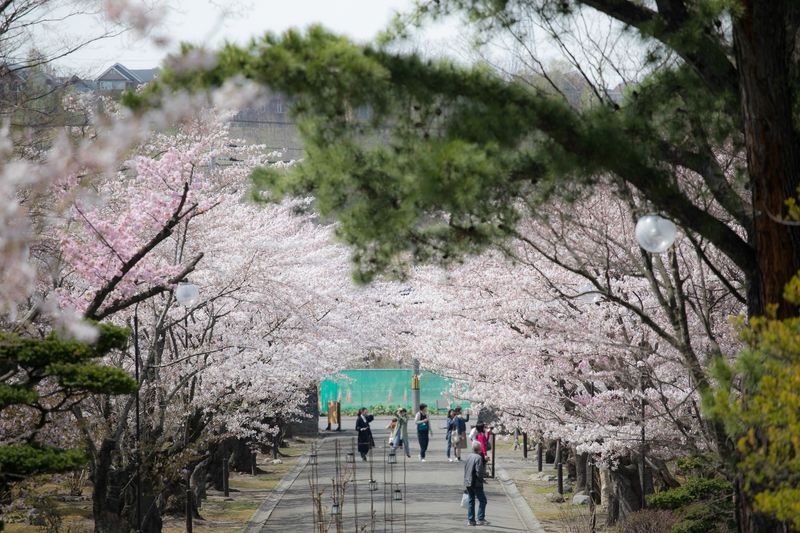 株式会社温泉宏楽園のアルバイト・バイト求人情報-04