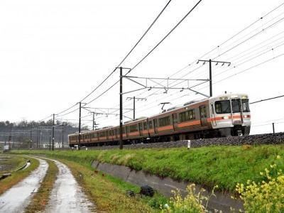 有限会社　三天の派遣求人情報