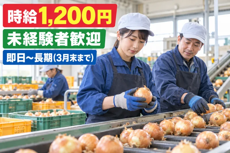 エクセル株式会社(北海道)のアルバイト・バイト求人情報