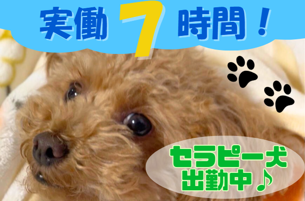 株式会社HKT　訪問看護ステーションこじゃんとの求人・転職情報