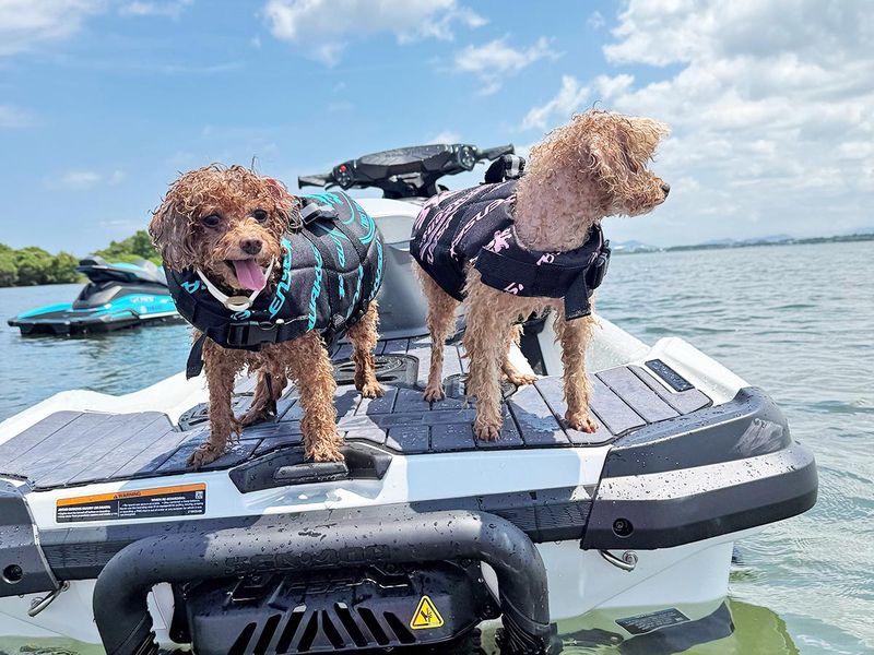 株式会社ERLのアルバイト・バイト求人情報-02