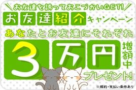 株式会社綜合キャリアオプションの求人情報