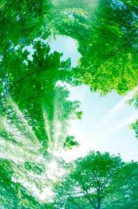 広島県森林組合連合会の求人・転職情報