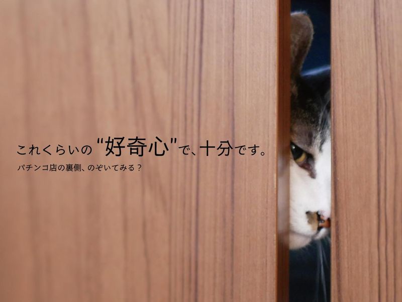 アミューズメント業界研究コース|WEB開催