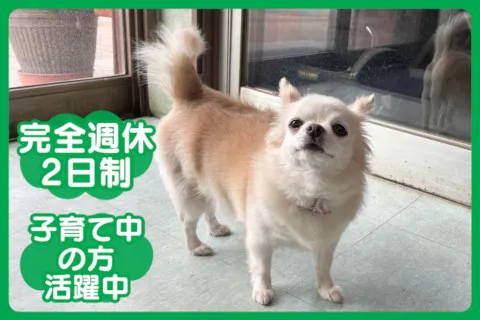 有限会社ミクリノの求人・転職情報