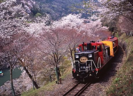 想い出アミーゴ　嵯峨野トロッコ列車　(文教スタヂオ)のアルバイト・バイト求人情報-02