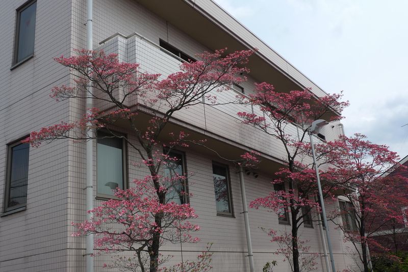 医療法人佐藤皮フ科クリニックの求人・転職情報